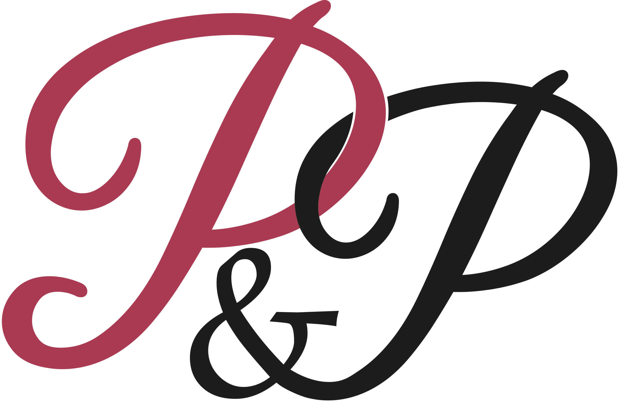 Palm & Partner Logo